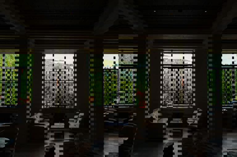 Digital Detox Hotels Ban Phones and Wi-Fi for Weekend Retreats